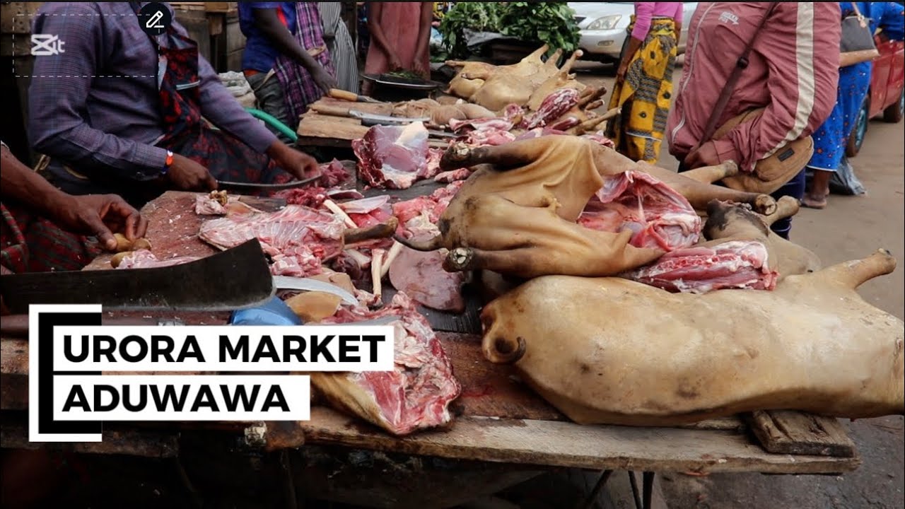 Мой первый визит на рынок URORA MARKET на улице Адувава в Бенине, чтобы ознакомиться с ценами на ...