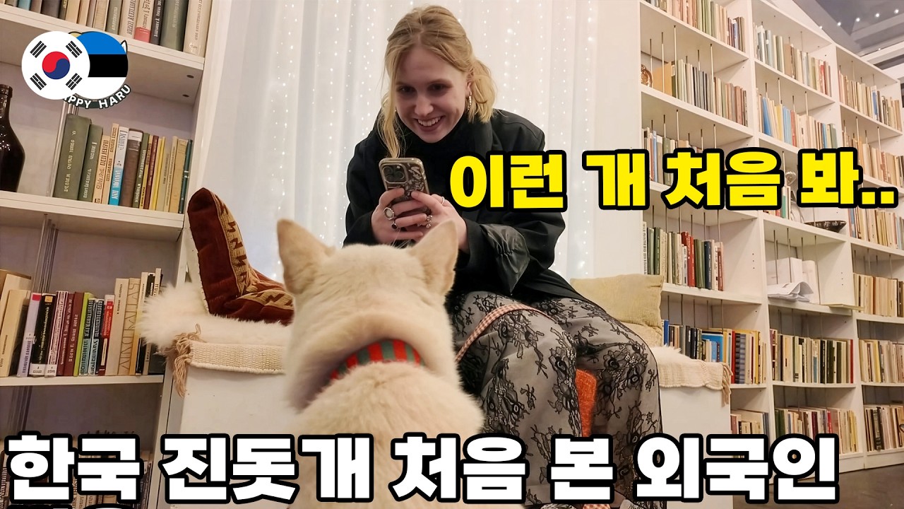 난생 처음 보는 진돗개에 반해버린 북유럽 사람들ㅋㅋ