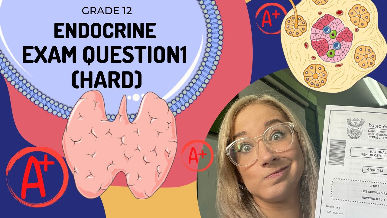 Endocrine Exam Q1 (HARD)