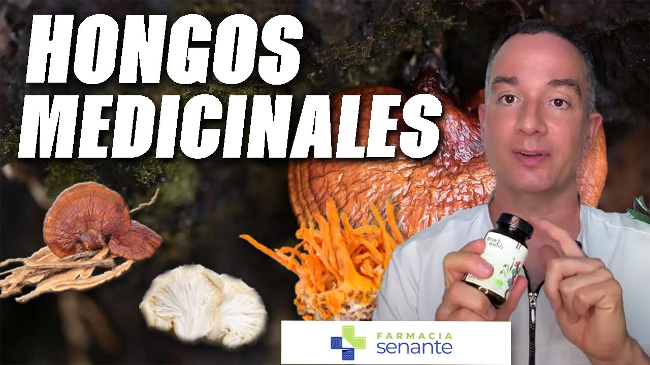 La REVOLUCIÓN de los HONGOS MEDICINALES 🍄 y MEJORES PRODUCTOS con HONGOS 2025