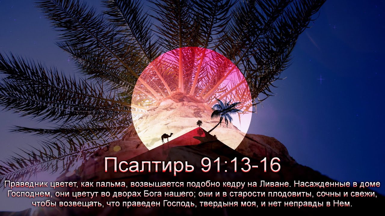 Проповедь 