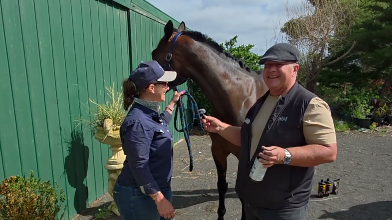 How One Champion Racehorse Defied the Odds with Australian Hemp Nutrition