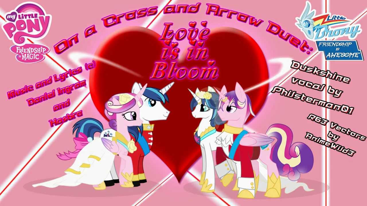 On a Cross and Arrow Duet: Love is in Bloom