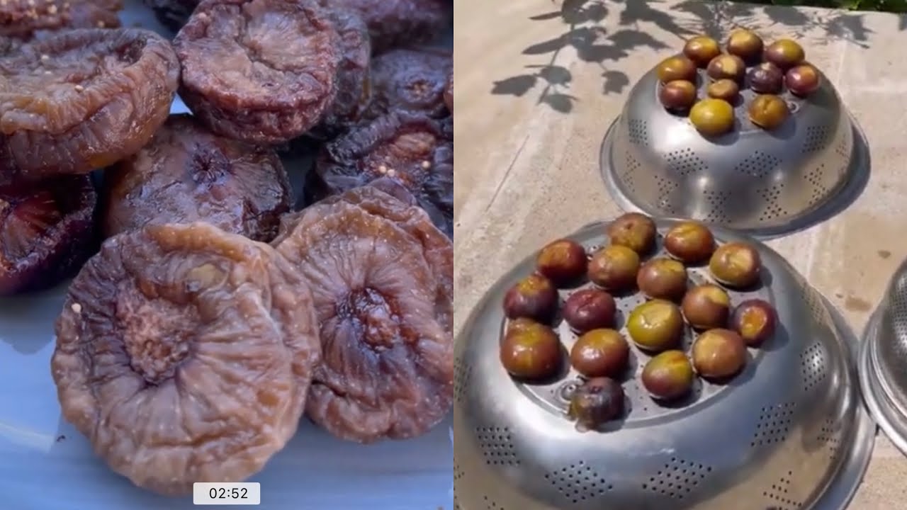 ƏNCİRİN ƏN DÜZGÜN ŞƏKİLDƏ QURUDULMASI və QURT salmadan saxlanılması