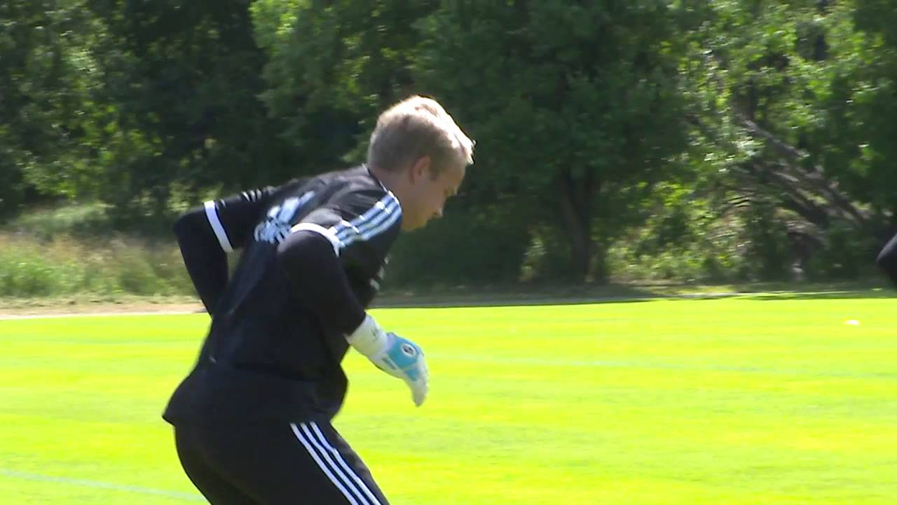 Carlgren: 
