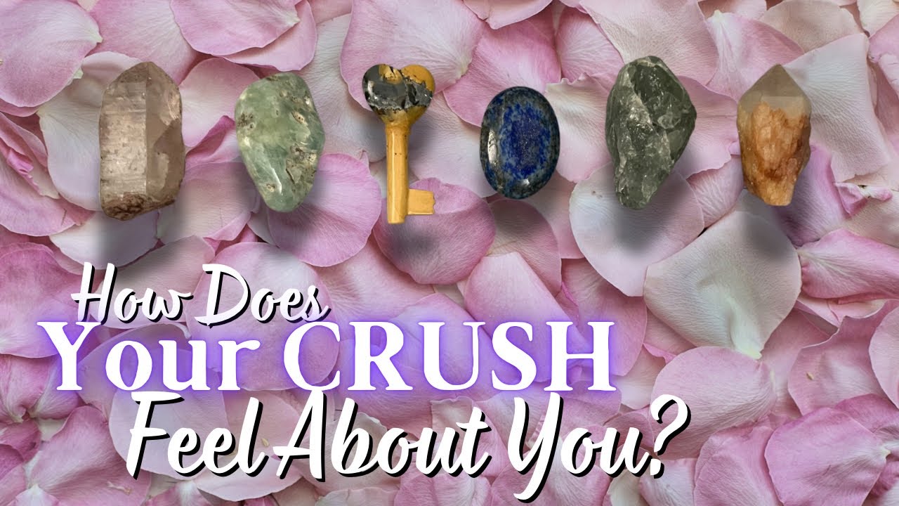 😍 How Does Your CRUSH Feel About You? 😱 (to the point) 🎯 tarot pick a card