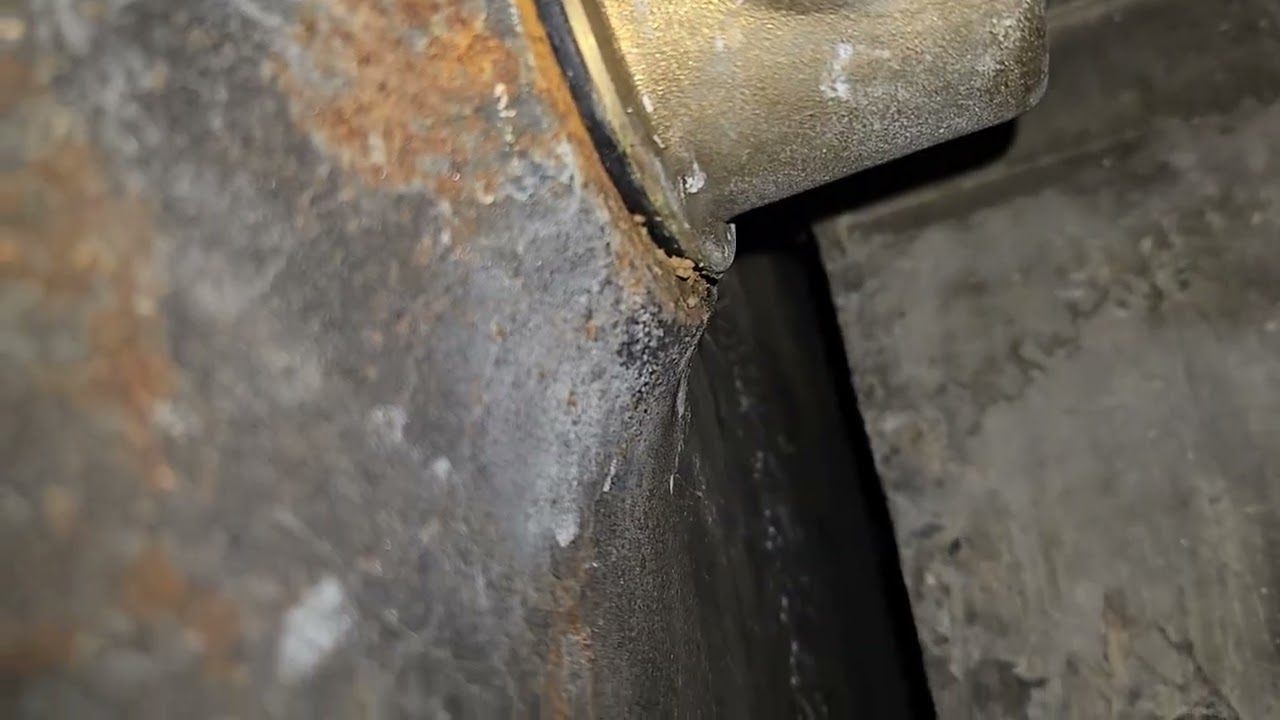 #404 - SHORT-  Drain