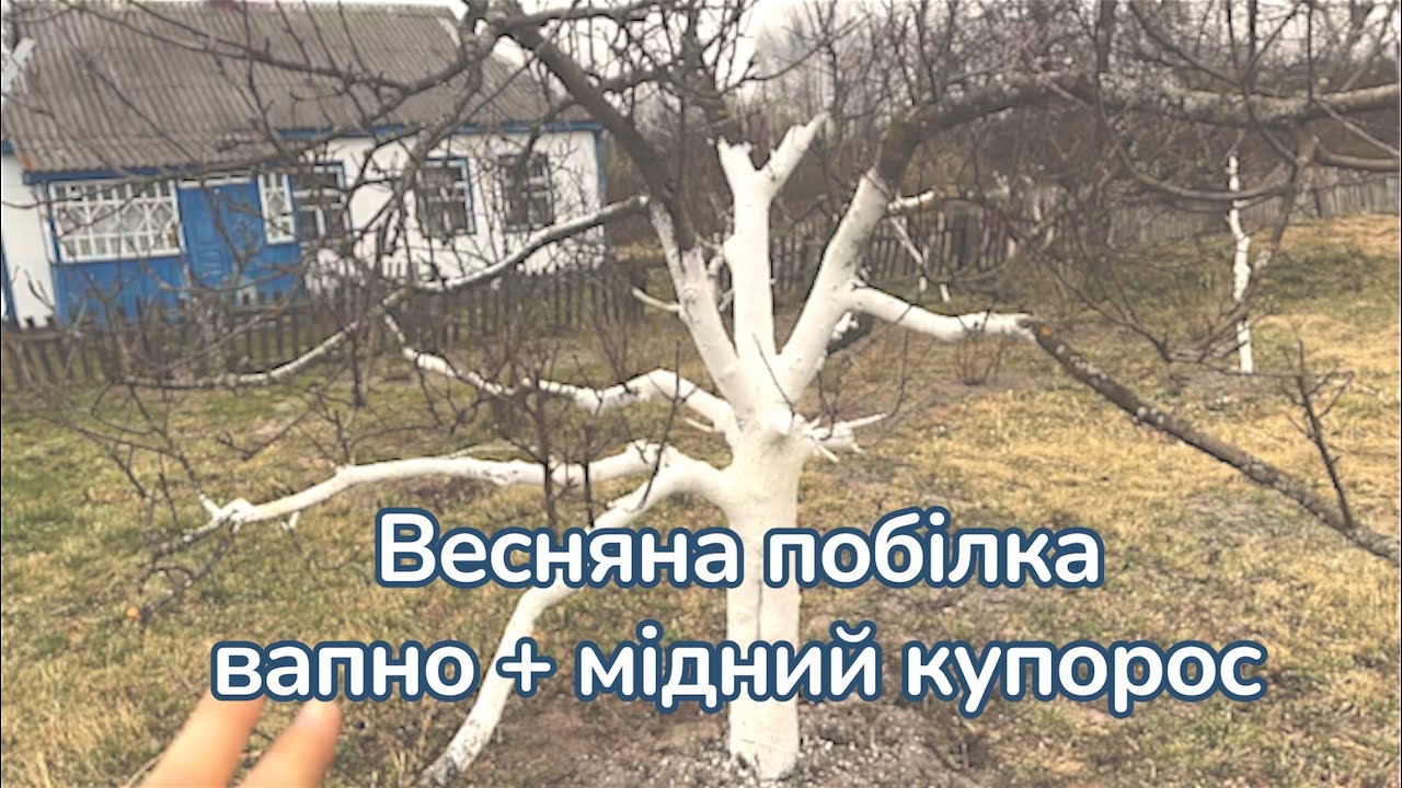 29 березня 2026 р.