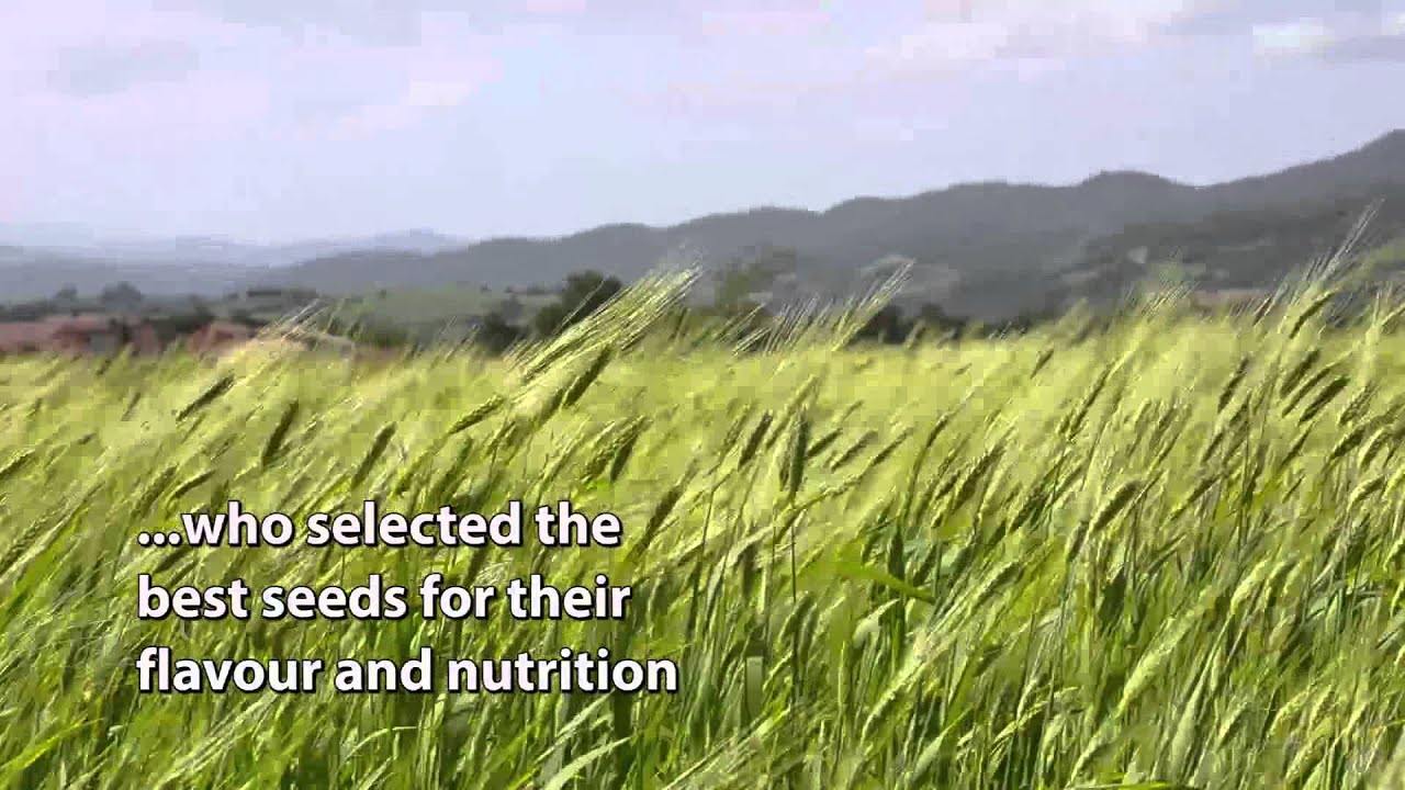 How our organic pasta is&nbsp;traditionally&nbsp;made from ancient grains