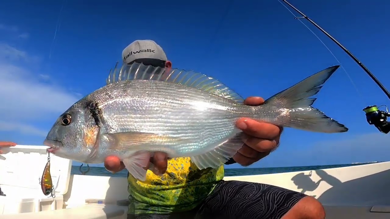 🎣𝘾𝙊𝙈𝙊 𝙥𝙚𝙨𝙘𝙖𝙧 𝘿𝙊𝙍𝘼𝘿𝘼𝙎 𝙚𝙣 𝙋𝙍𝙊𝙁𝙐𝙉𝘿𝙄𝘿𝘼𝘿/🤯𝘾𝙃𝘼𝙏𝘼 𝘽𝙀𝙀52/ 𝘿𝙚𝙡𝙩𝙖 𝙙𝙚𝙡 𝙀𝘽𝙍𝙊📍