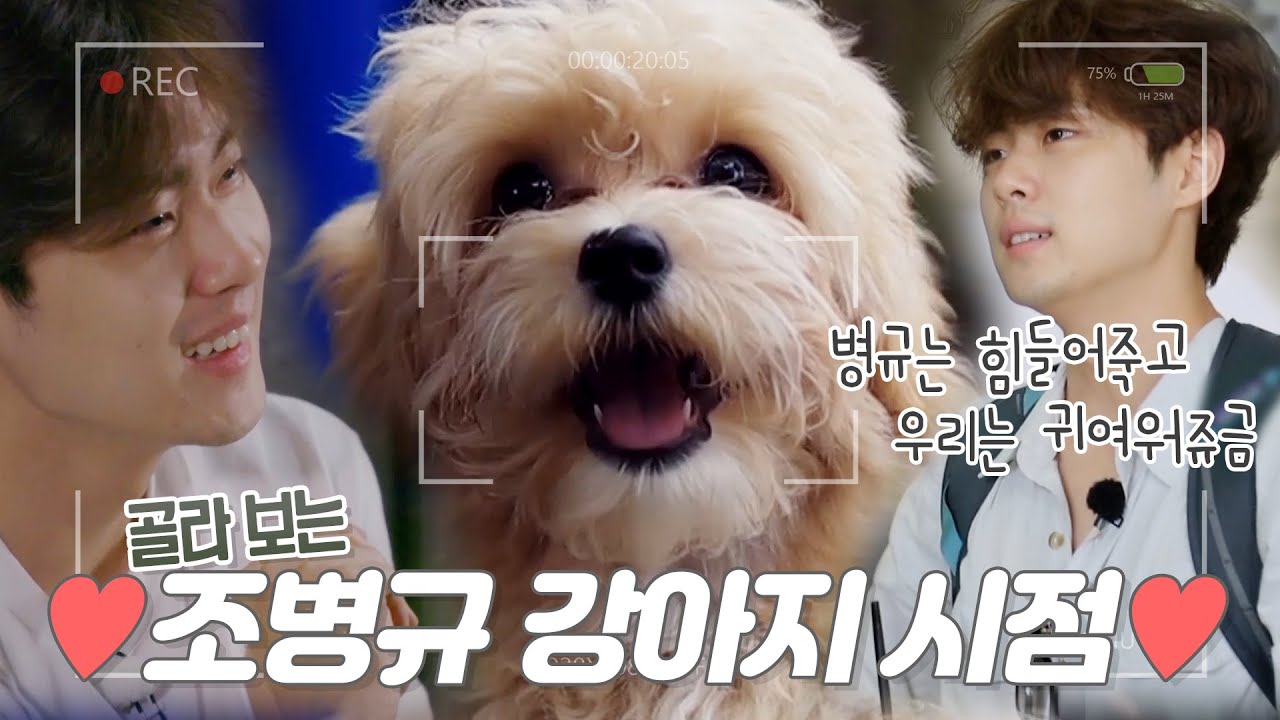 [#1인칭시점] ❤️귀여움주의❤️ 조병규 댕댕이 '조엘'을 소개합니다 MBN 20190810 방송