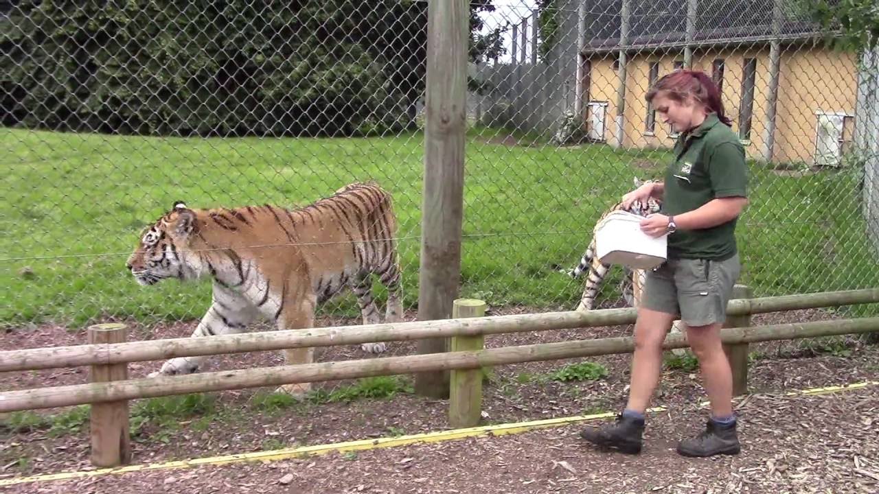 Banham Zoo, Norfolk 2016