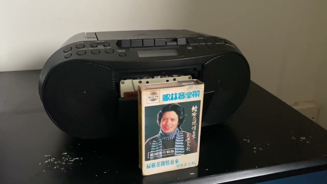 劉文正-純潔的愛