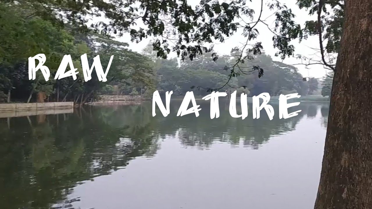 Beautiful Nature | Raw Nature Footage