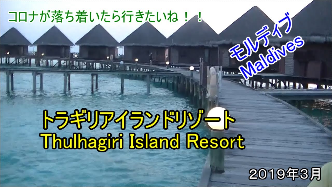 コロナが落ち着いたら行きたいね！モルディブ、トラギリアイランドリゾート！きれいな海、楽しい生き物、おいしいお食事がたまりませんでした！2019/3月Maldives Thulhagiri Island
