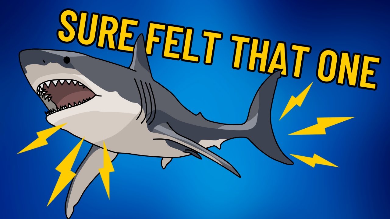 WORST Place To Get Shocked with my SHARK SHIELD