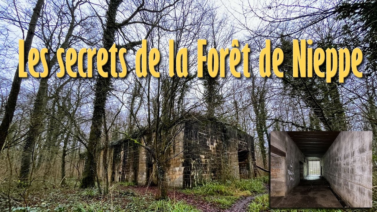Découverte d'un bâtiment pour Missiles V2 dans la forêt de Nieppe ! (Motte au Bois/WW2)