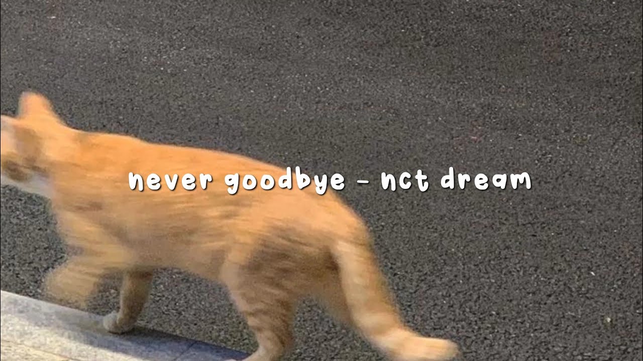 never goodbye - nct dream (speed up)