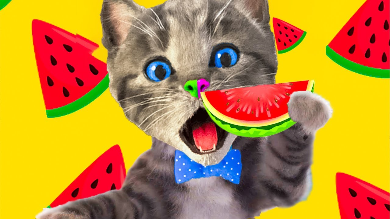 LITTLE KITTEN ADVENTURE - MY FAVOURITE HAPPY KITTEN AND HER ADVENTUROUS DAY WITH ANIMAL FRIENDS