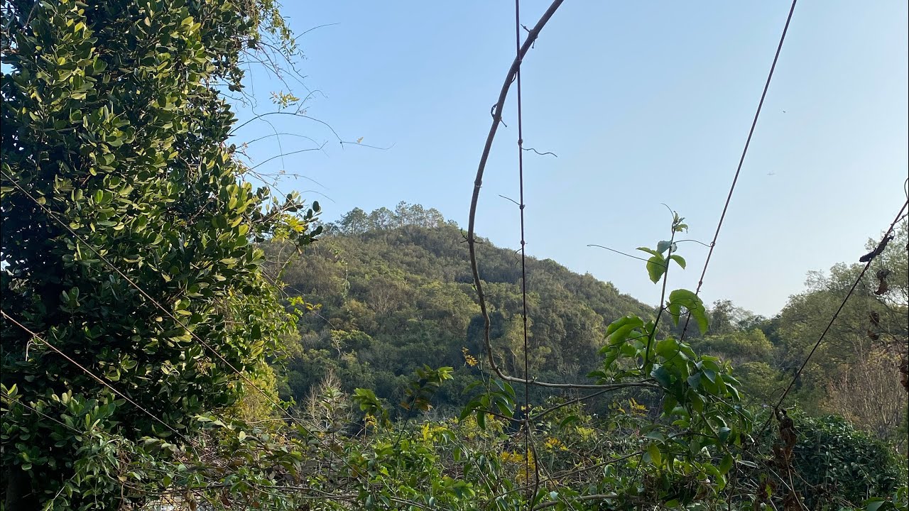 Hiking in Hong Kong 🌳