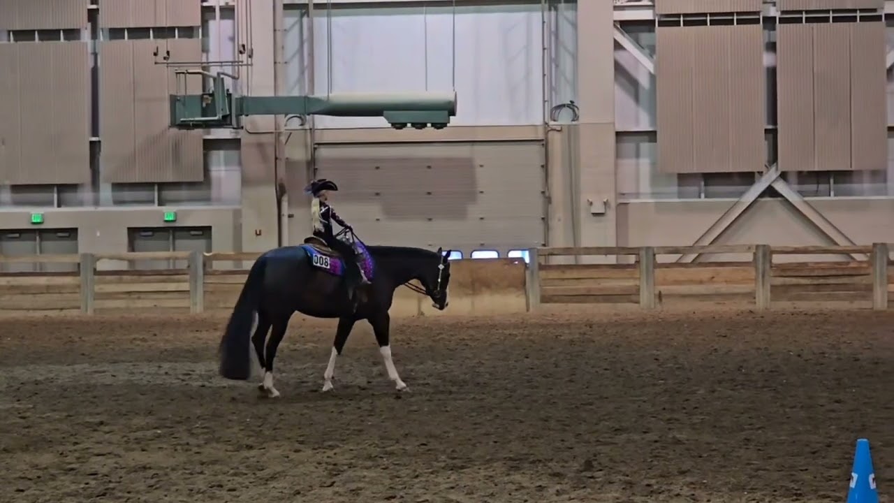 All Revere - Offered for Sale 