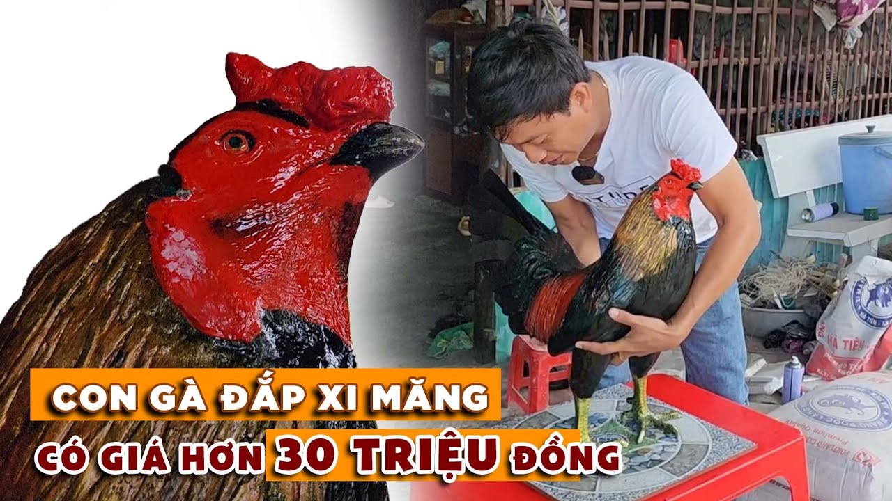 Chuyện lạ Con gà đắp xi-măng của chàng Hotboy khách mua với giá hơn 30 triệu | Bùi Hồ TV