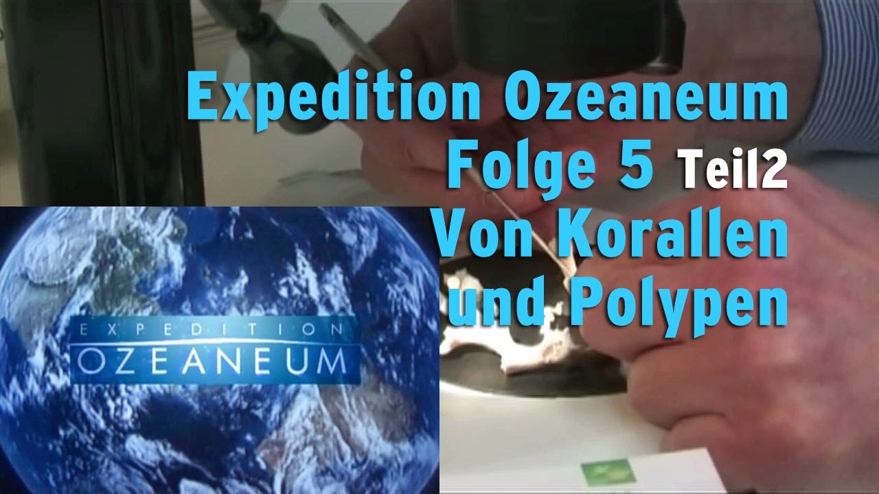 Ozeaneum Folge 5/Teil2 „Von Korallen und Polypen