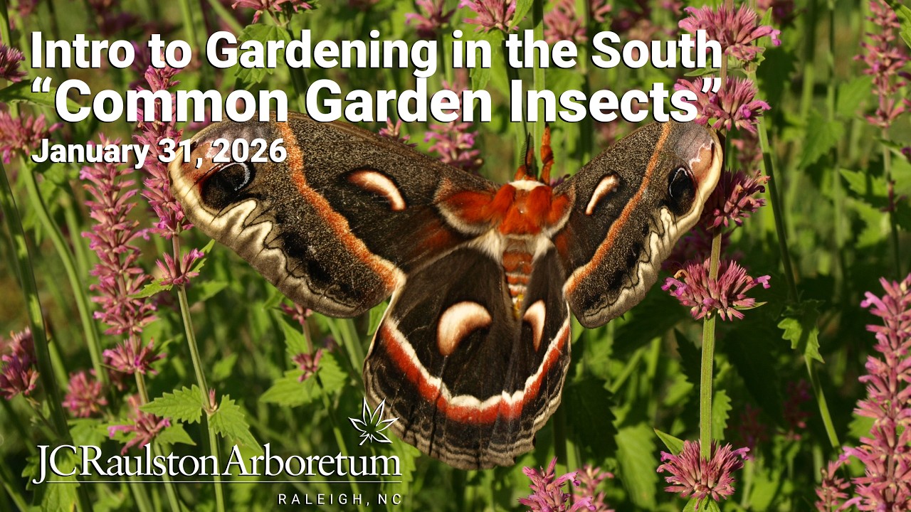 Intro to Gardening in the South - 