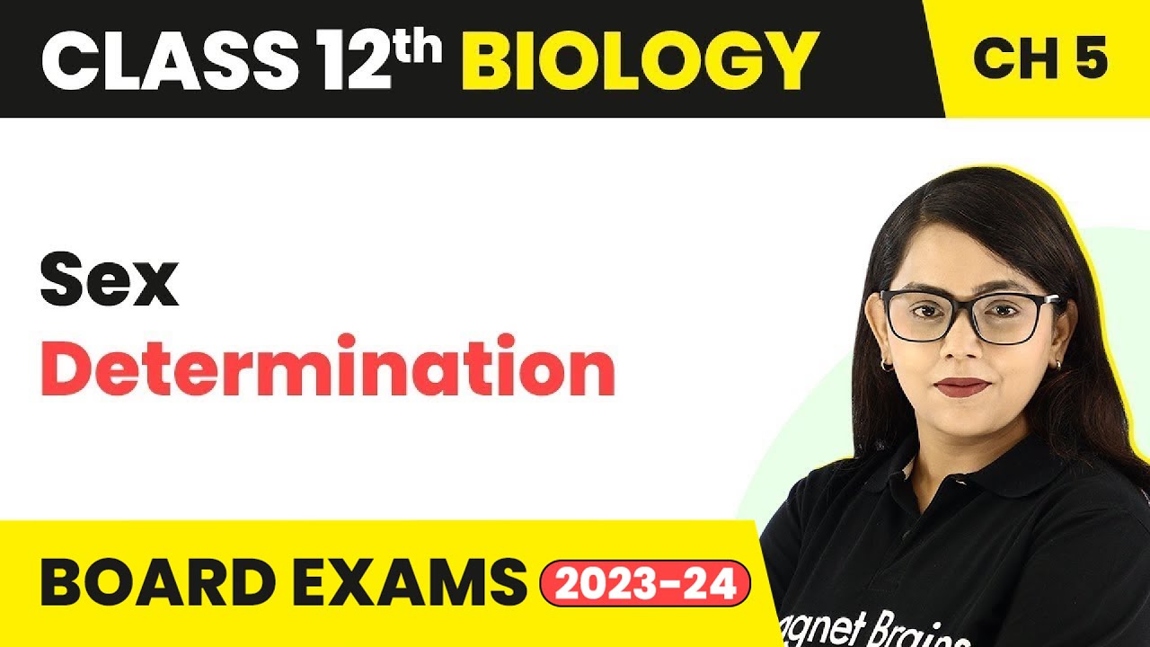 Class 12 Biology Chapter 5 | Sex Determination - Principles of Inheritance & Variation (2022-23)