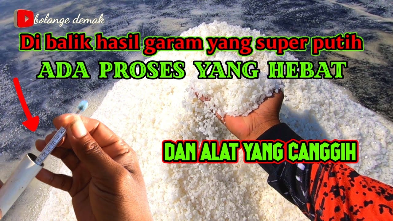 proses pembuatan garam dari nol sampe panen