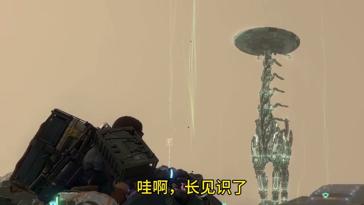 今天可没有偷懒！