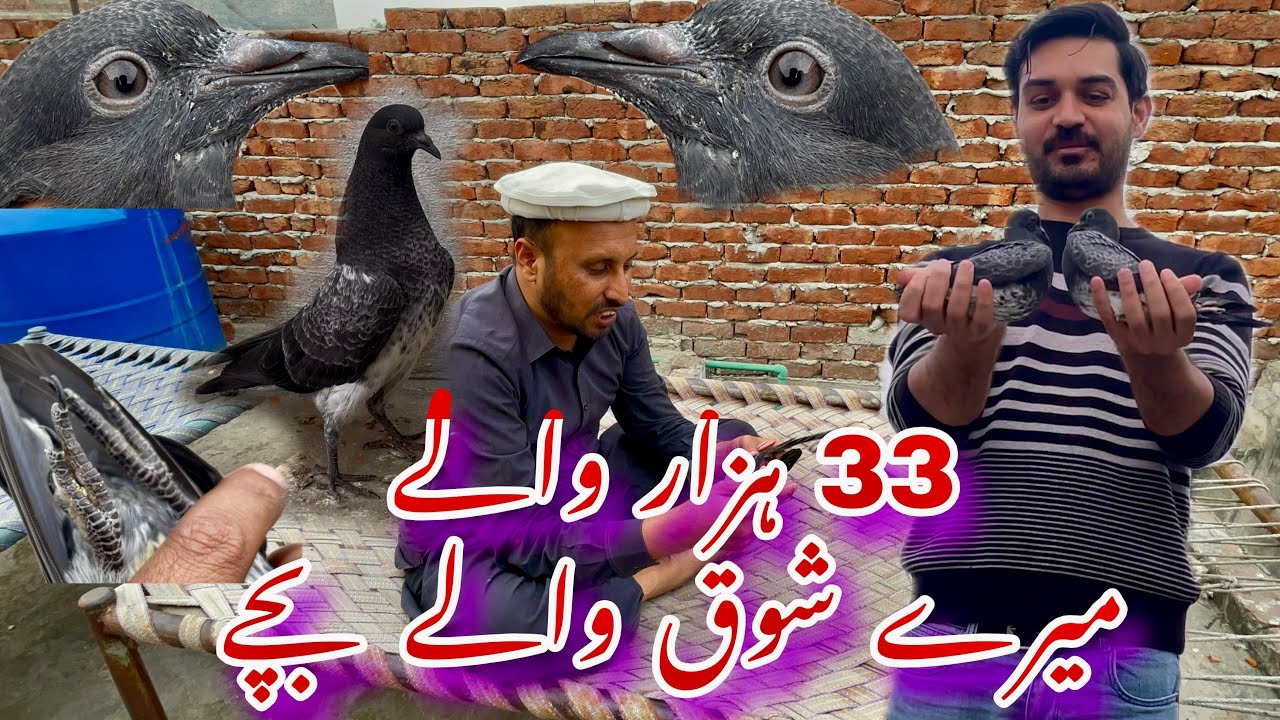 33 hazar waly Lal Tofaan Bachy ❤️❤️ 0322-4245546 mere shoq waly bachy 🥰🥰@choudhryusmankasur 