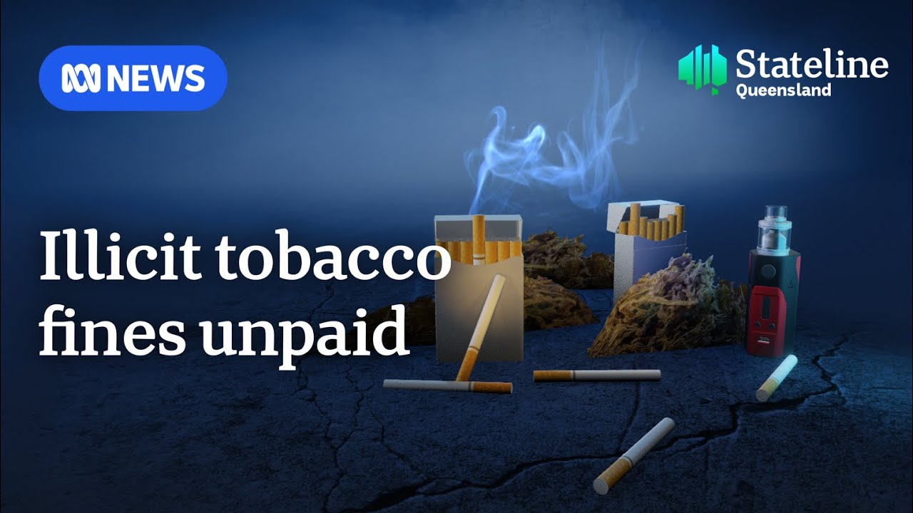 Queensland's tobacco criminals are not paying fines for selling illegal cigarettes | ABC NEWS