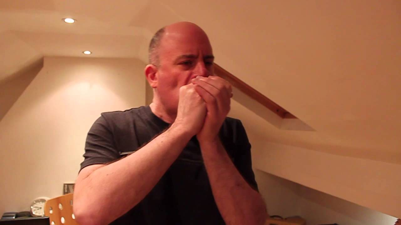 1st Position Harmonica Blues Solo