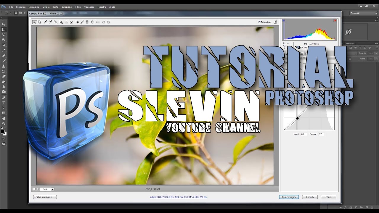 Tutorial Photoshop CC -  Camera raw - aumentare nitidezza - togliere disturbo alle foto