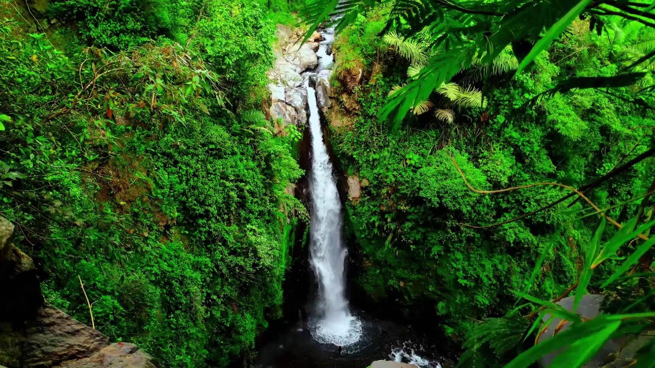 Relaxing River Flow to Release Stress, Calm Mind and Heal Emotionally