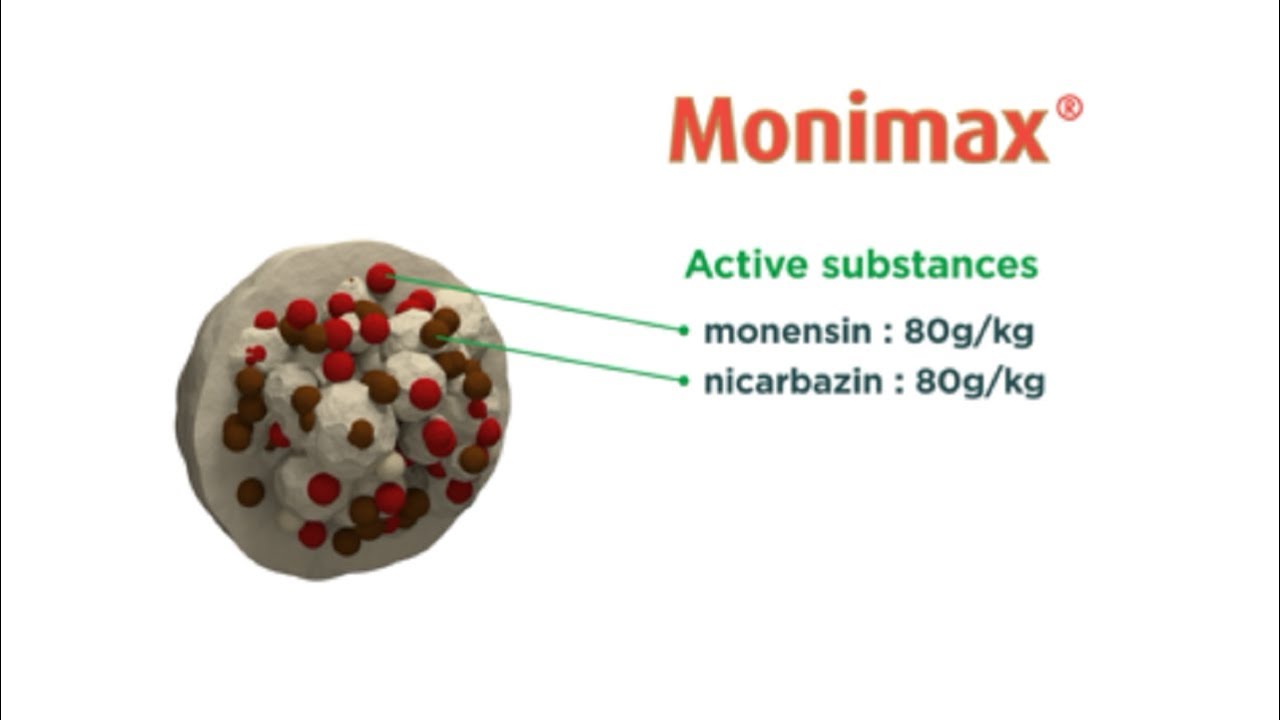 Monimax