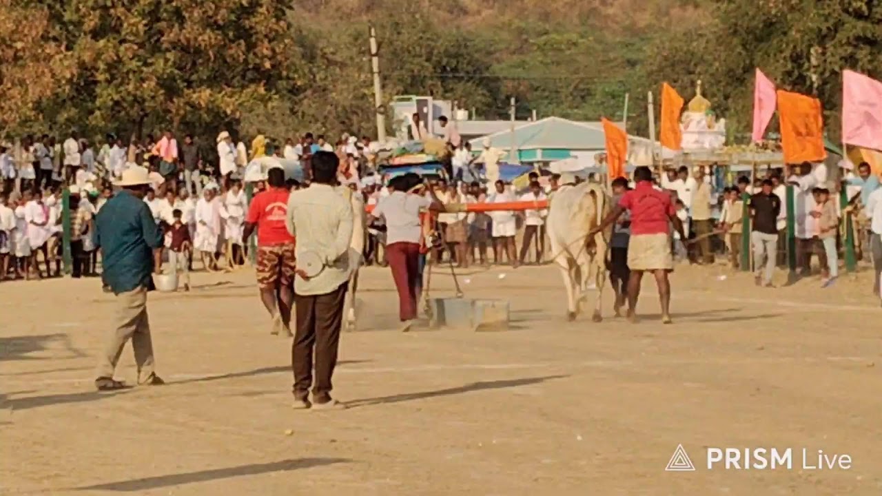 నరవ గ్రామం||రెండు పళ్ళ విభాగం 17వ జత 5-3-2026💥💥