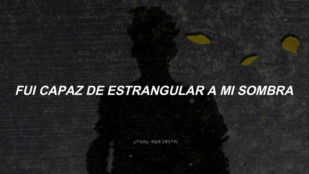 Them Crooked Vultures - Spinning In Daffodils (subtitulada al español)