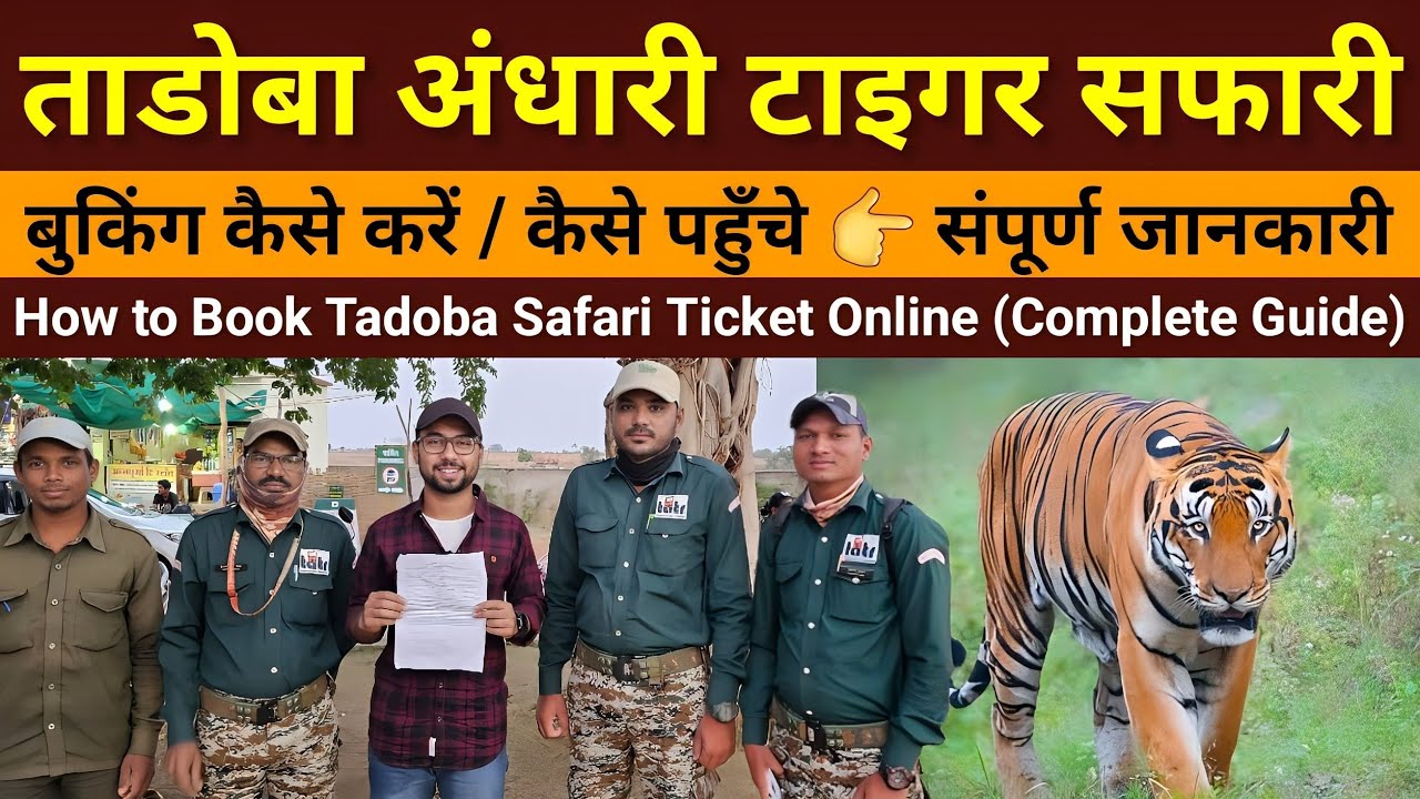 How to book Tadoba Safari Online | Tadoba safari booking kaise kare | Tadoba safari complete Guide