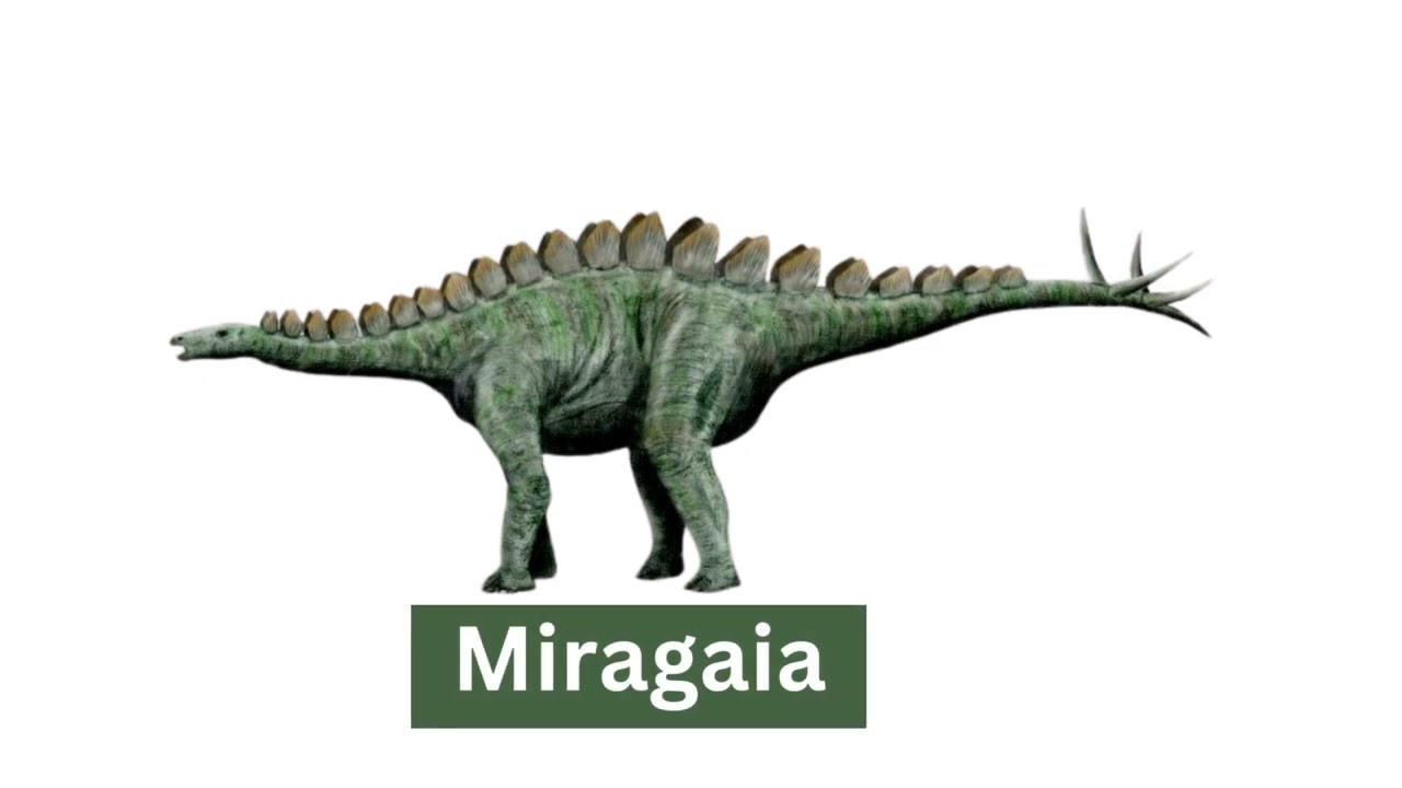 Stegosauria - Dinosaurs With Spikes On Their Tail