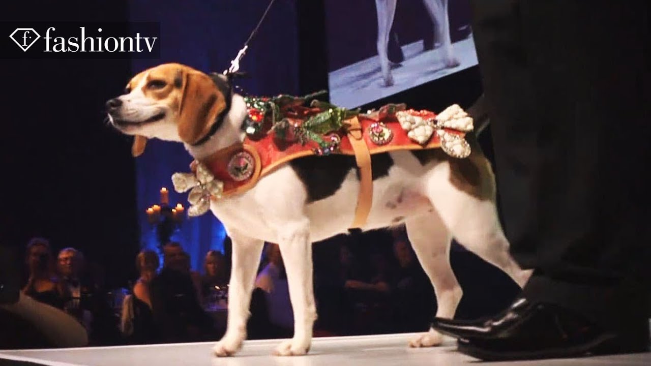 Dog Fashion Show! Collars & Coats Gala Ball 2012 ft David Gandy | FashionTV