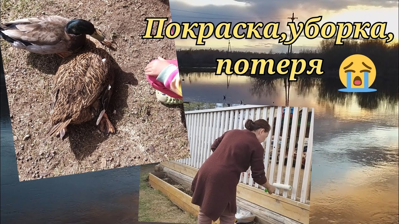 Беседкабытыгар таҕыстыбыт🧹🧼🧺 Куспут өллө🦆🥺😢
