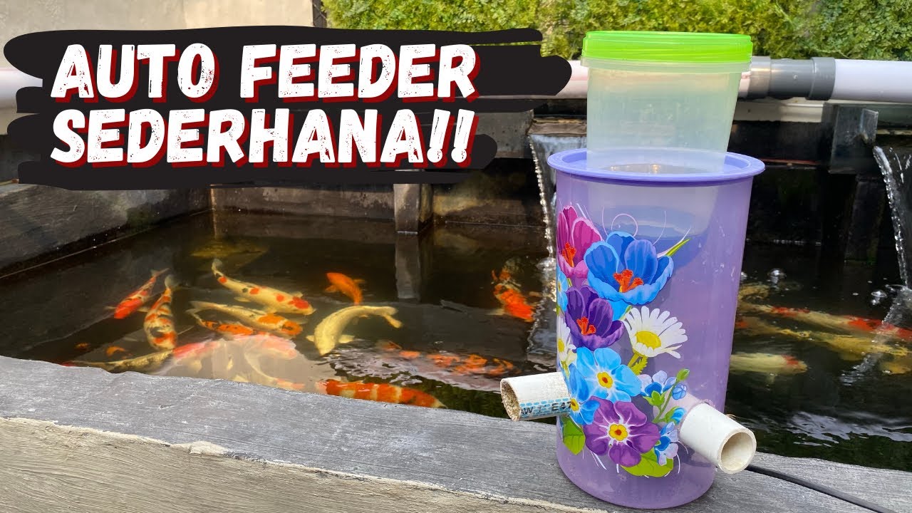 DIY AUTO FEEDER / PEMBERI PAKAN OTOMATIS KOLAM IKAN KOI BAHAN MURAH | FISH #6