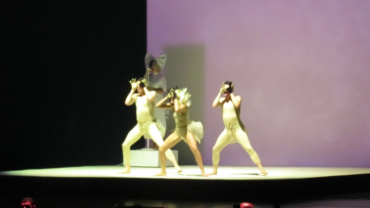 Cheap Thrills - Sia Concert Live @ Houston Toyota Center 11/4/2016 Part 3
