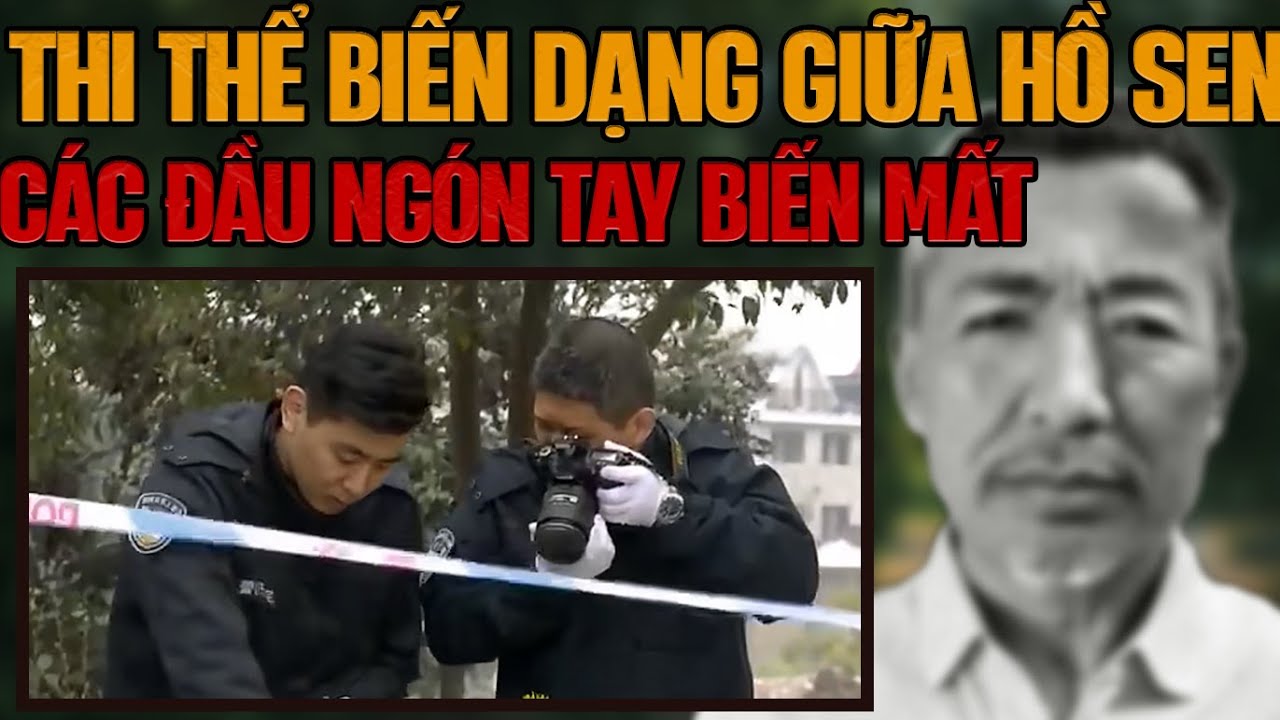 Kỳ Án Trung Quốc : Bí Ẩn Thi Thể Trôi Nổi Giữa Hồ & Sự Thật Cay Đắng