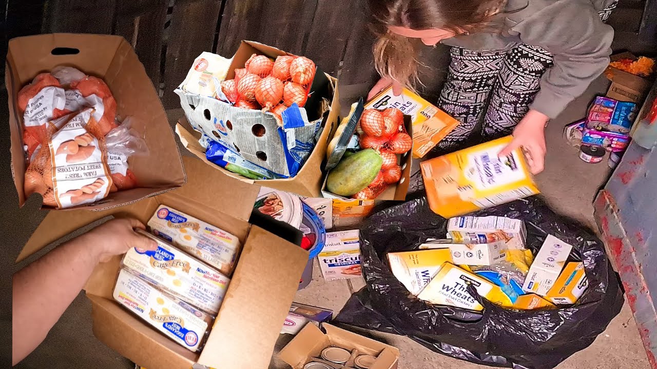 Dumpster Diving After Christmas Goodies!