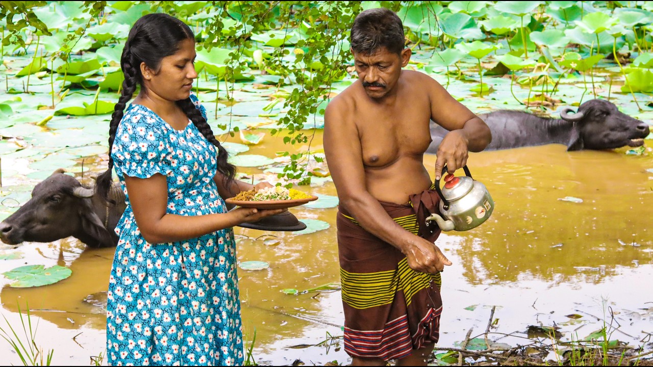 Traditional Mushroom Curry | Harvested from Wood #musroom #village #food #recipe