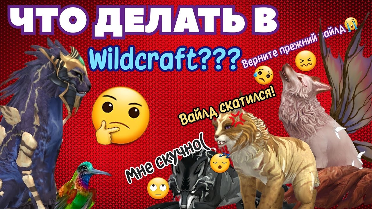 ЧТО ДЕЛАТЬ В Wildcraft СЕЙЧАС??? ЧЕМ ЗАНЯТЬСЯ???