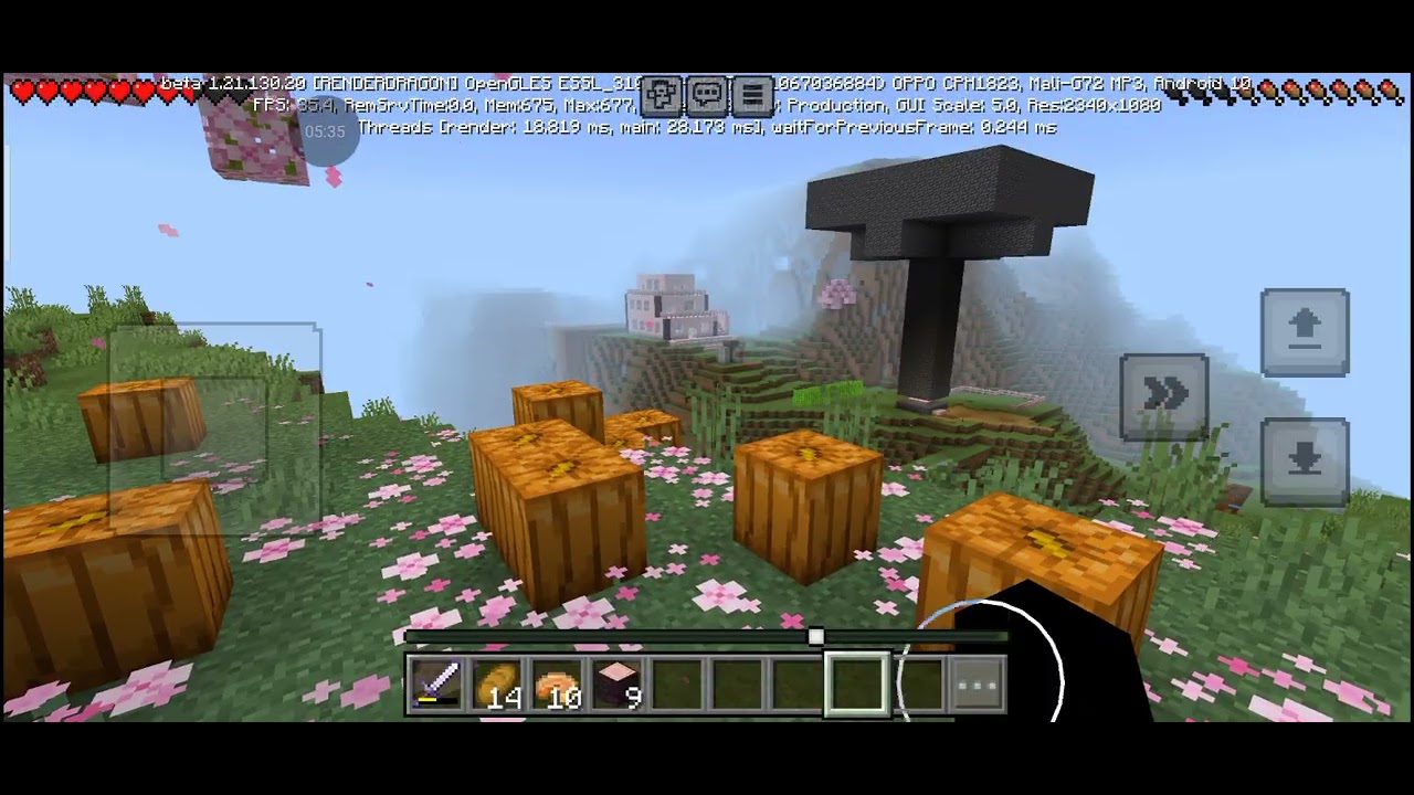 Minecraft play with friend 